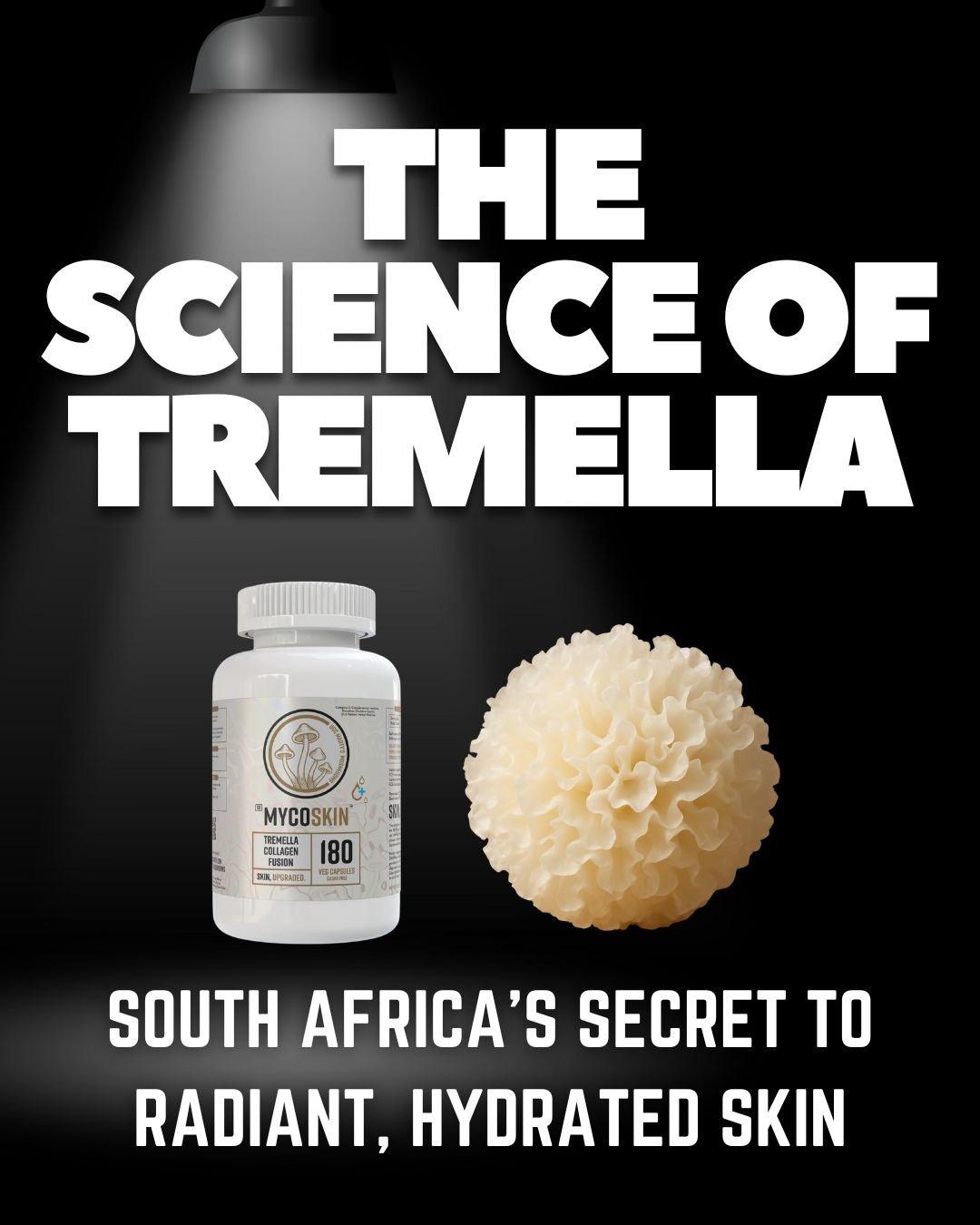The Science of Tremella: South Africa's Secret to Radiant, Hydrated Skin - Doc Marty's Mushrooms