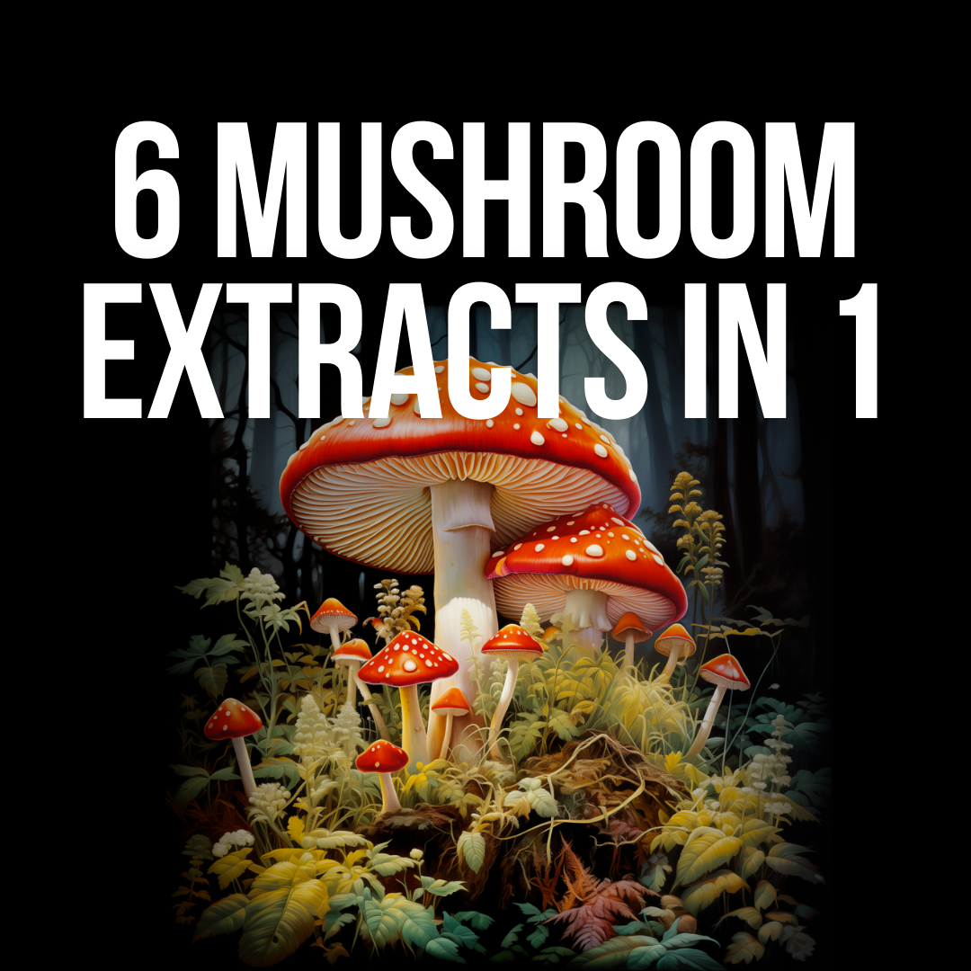 Doc Marty's Mushrooms