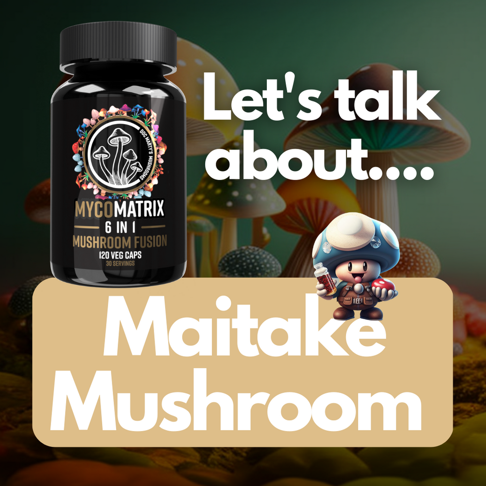 The health benefits of Maitake Mushrooms