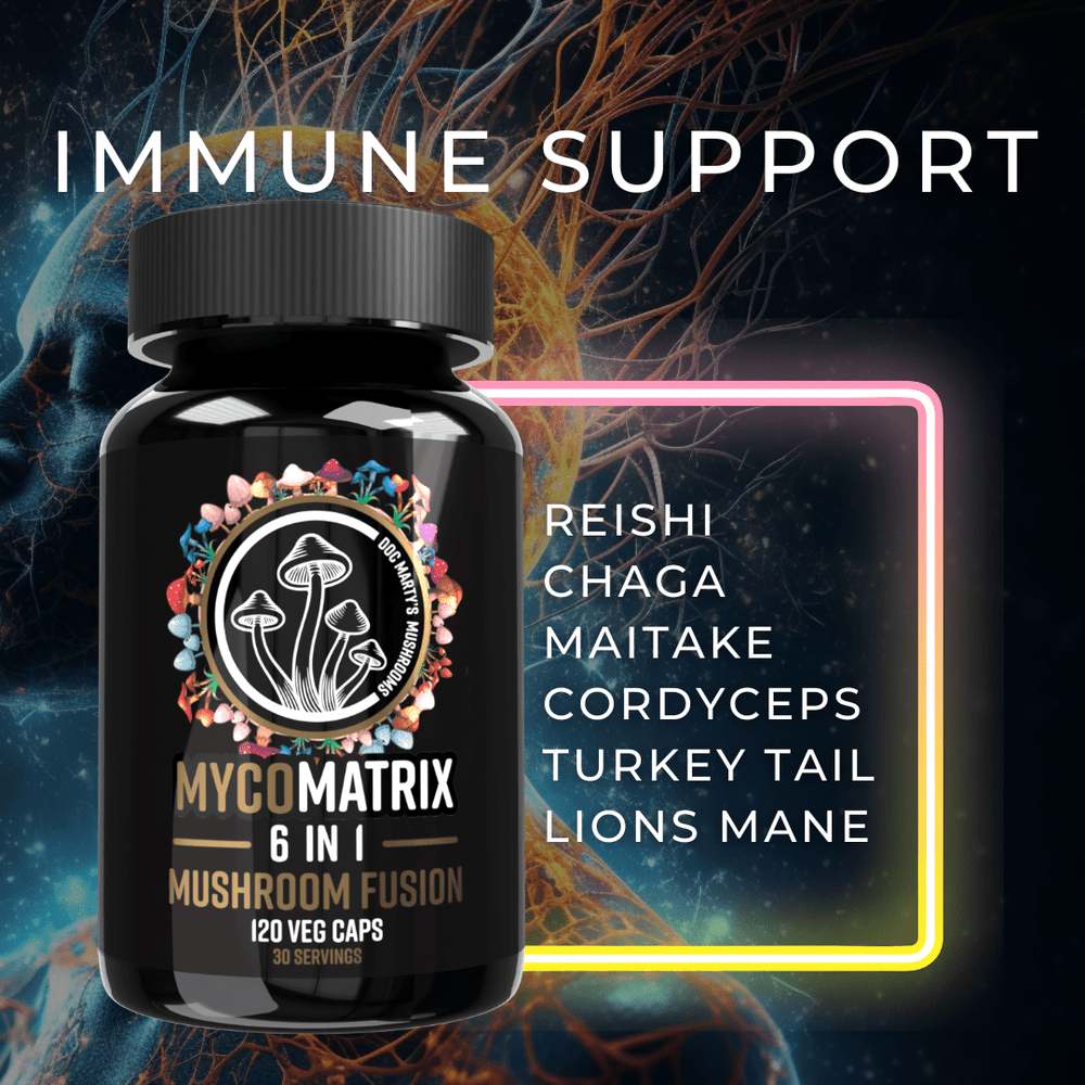Cancer fighting potential of medicinal mushrooms - Doc Marty's Mushrooms