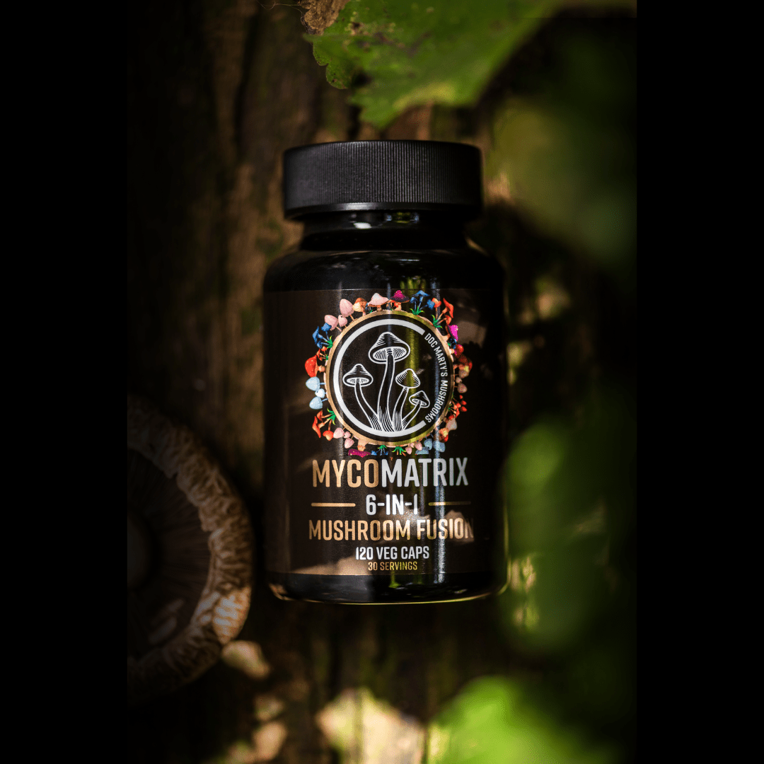 Turkey tail mushroom and cancer fighting benefits - Doc Marty's Mushrooms