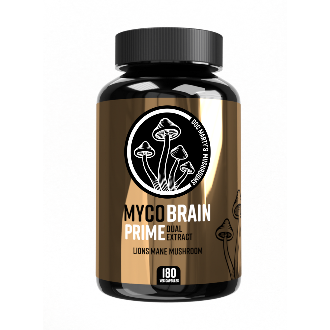 Mycobrain Prime Lions mane mushroom bottle