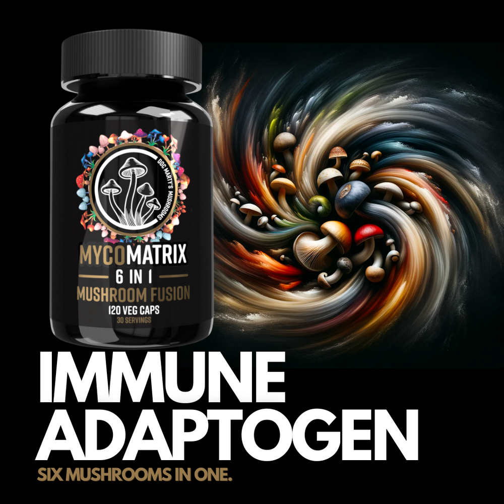 THIS IS THE ONE EVERYONE'S TAKING FOR IMMUNE SUPPORT.